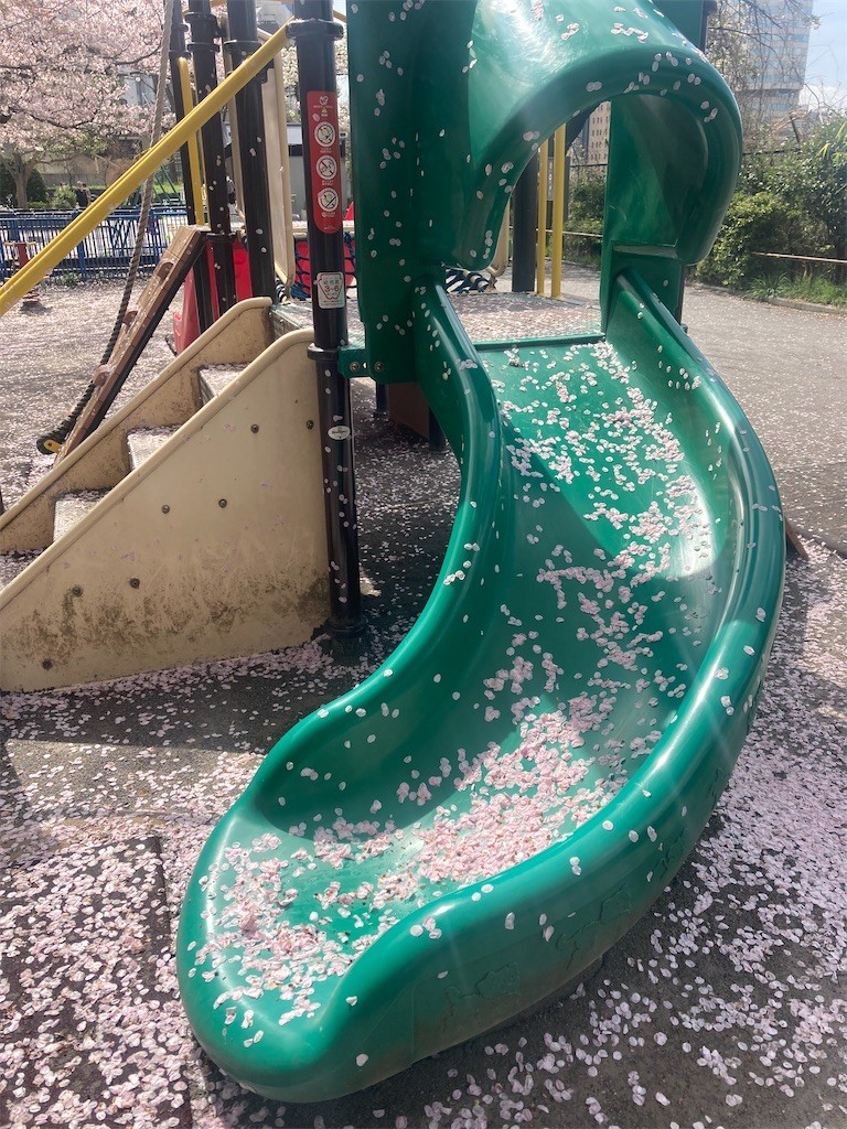 f:id:Magnoliarida:20220401162325j:image