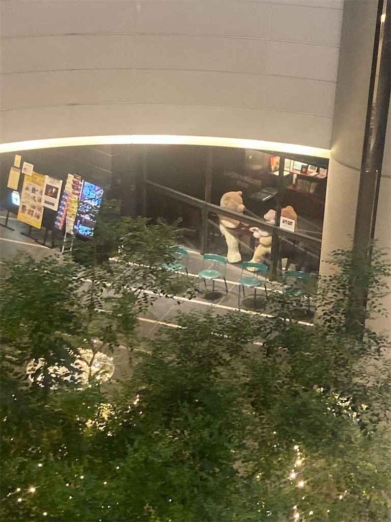 f:id:Magnoliarida:20220413001954j:image f:id:Magnoliarida:20220413001954j:image