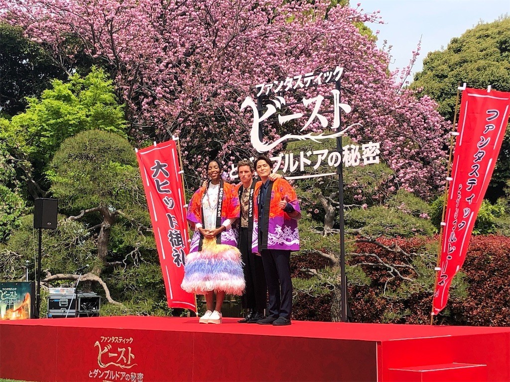 f:id:Magnoliarida:20220413143041j:image f:id:Magnoliarida:20220413143041j:image