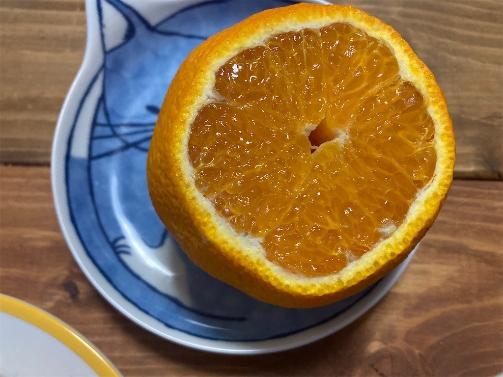 f:id:Magnoliarida:20220414074444j:image f:id:Magnoliarida:20220414074444j:image