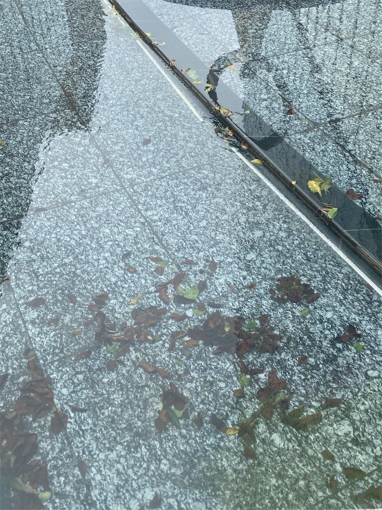 f:id:Magnoliarida:20220501225408j:image