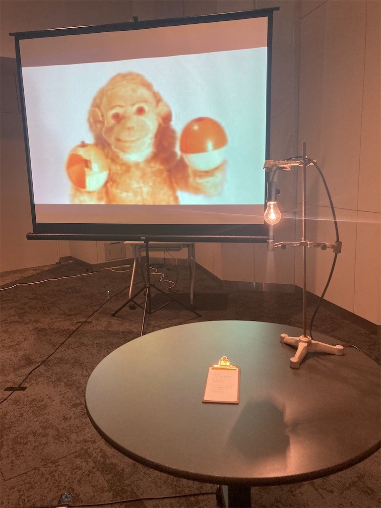 f:id:Magnoliarida:20220501225658j:image