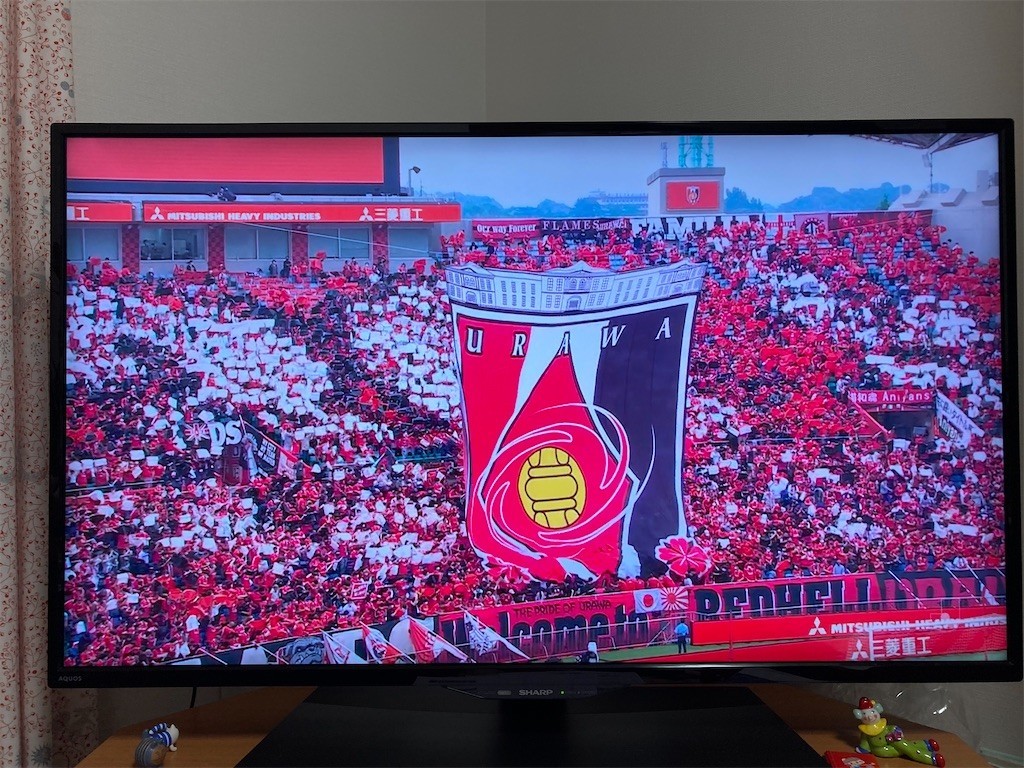 f:id:Magnoliarida:20220521235531j:image