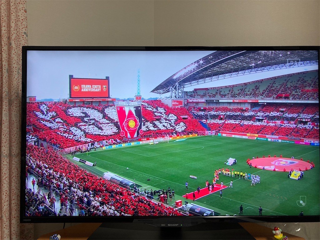 f:id:Magnoliarida:20220521235543j:image