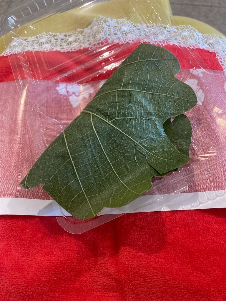 f:id:Magnoliarida:20220529225506j:image f:id:Magnoliarida:20220529225506j:image