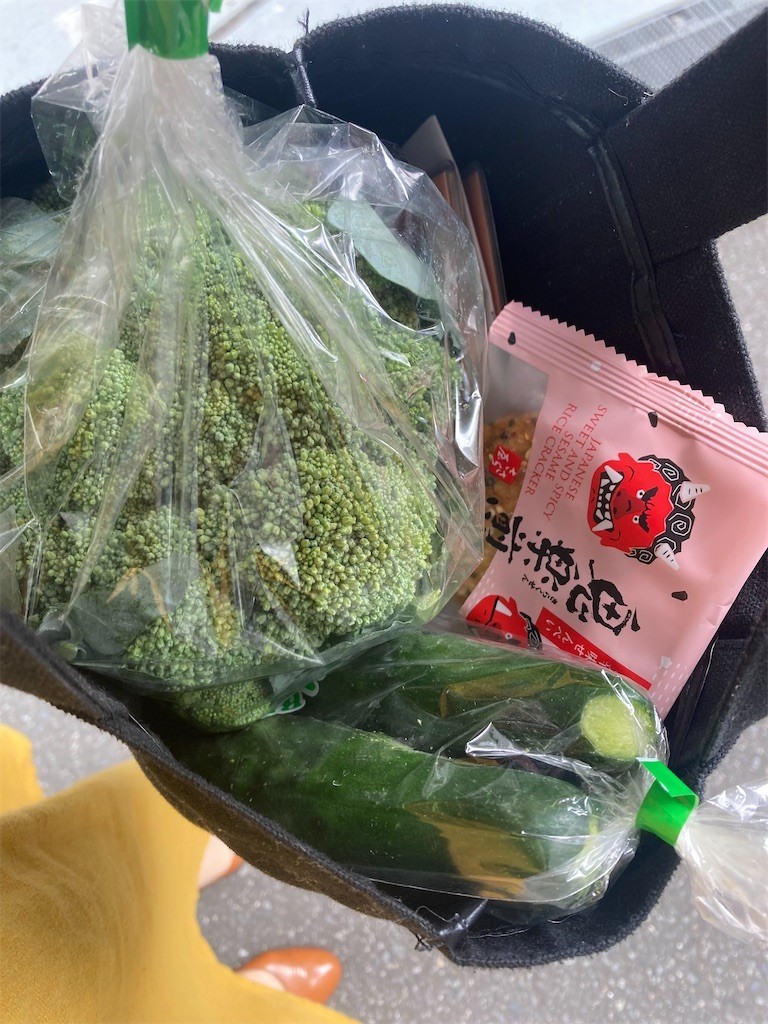 f:id:Magnoliarida:20220621131319j:image