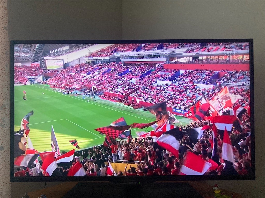 f:id:Magnoliarida:20220626190713j:image f:id:Magnoliarida:20220626190713j:image