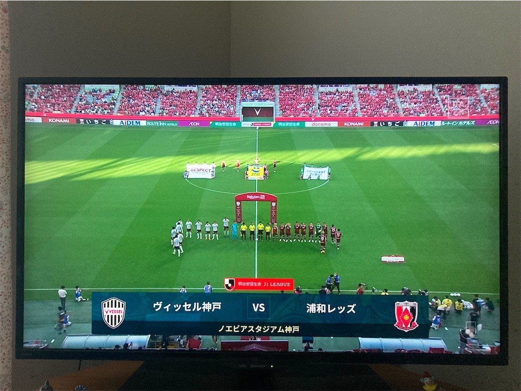 f:id:Magnoliarida:20220626190717j:image f:id:Magnoliarida:20220626190717j:image