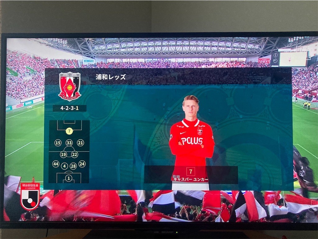 f:id:Magnoliarida:20220626190721j:image f:id:Magnoliarida:20220626190721j:image