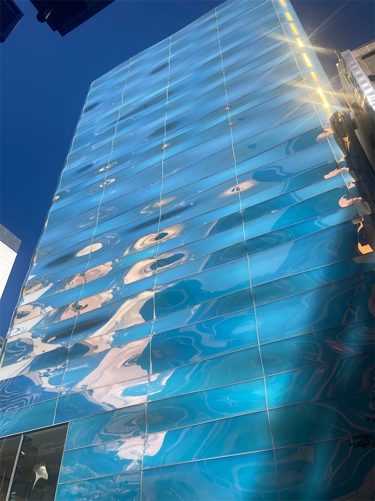 f:id:Magnoliarida:20220626225450j:image f:id:Magnoliarida:20220626225450j:image