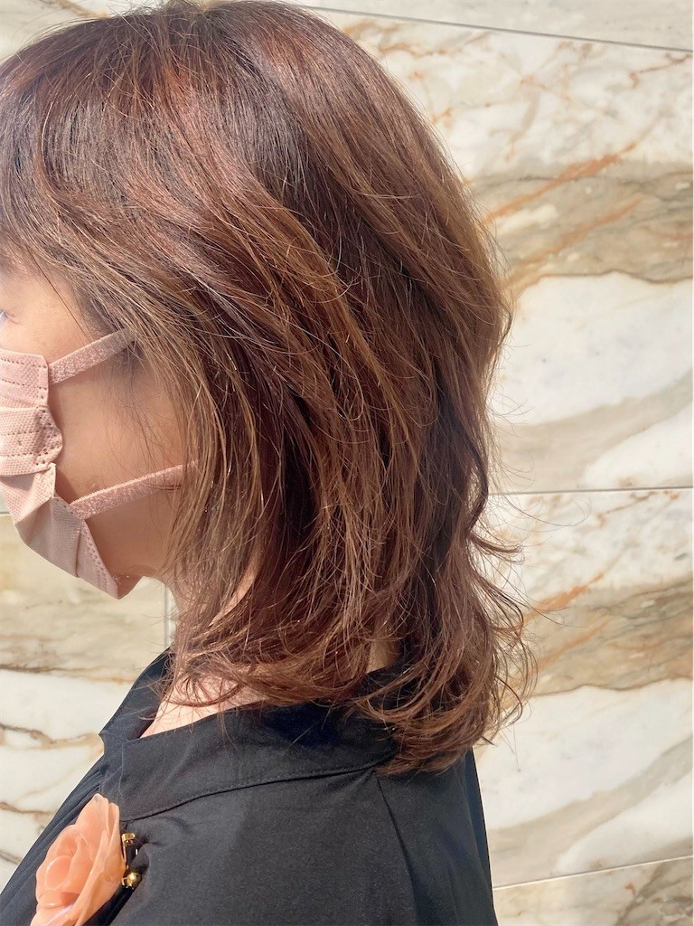 f:id:Magnoliarida:20220626231012j:image f:id:Magnoliarida:20220626231012j:image