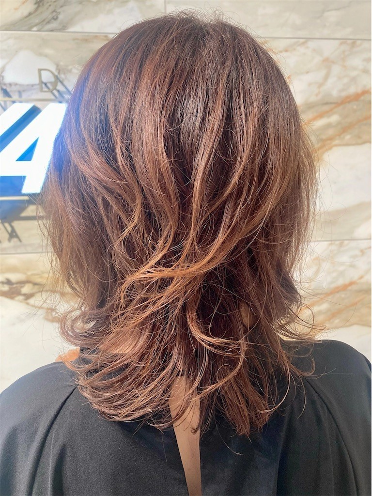 f:id:Magnoliarida:20220626231022j:image f:id:Magnoliarida:20220626231022j:image