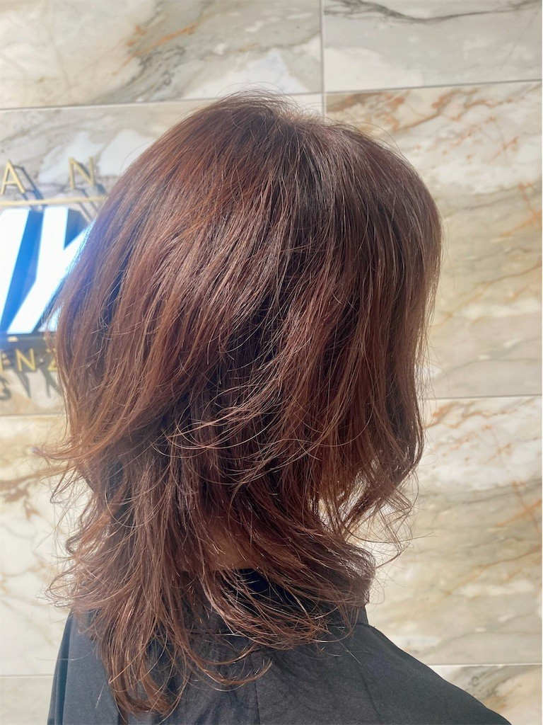 f:id:Magnoliarida:20220626231030j:image f:id:Magnoliarida:20220626231030j:image