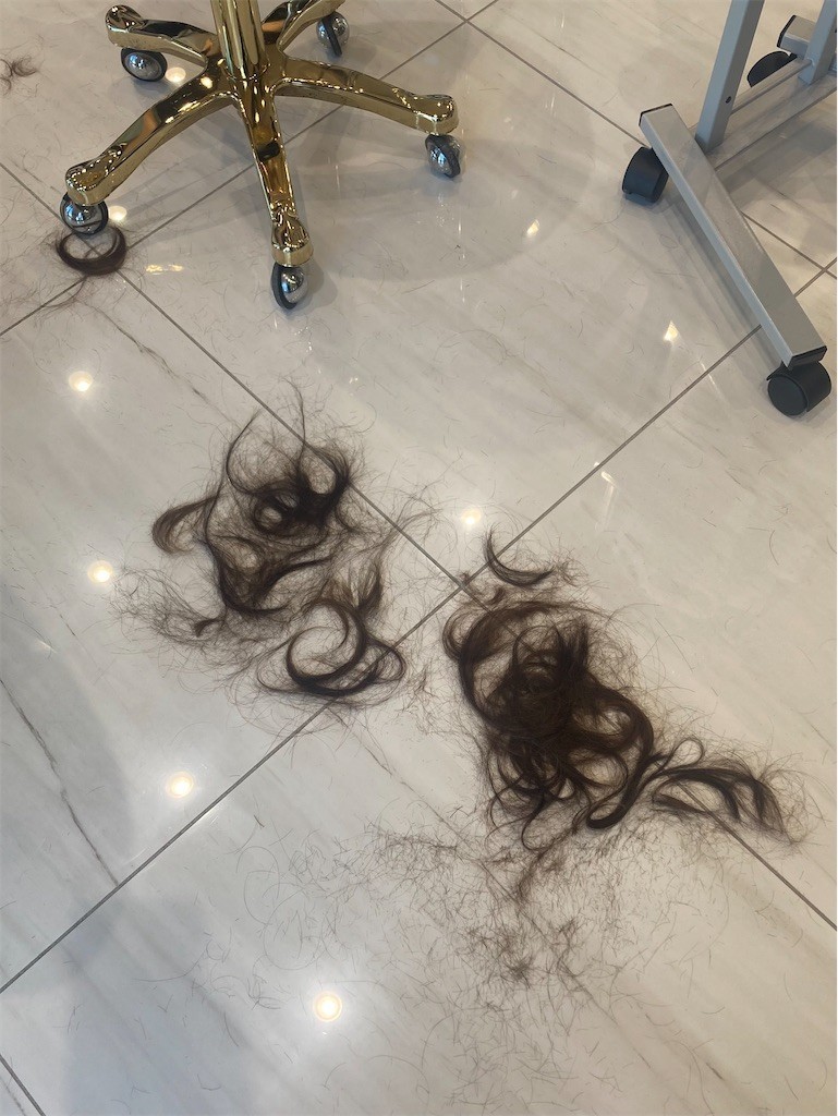 f:id:Magnoliarida:20220626233033j:image f:id:Magnoliarida:20220626233033j:image