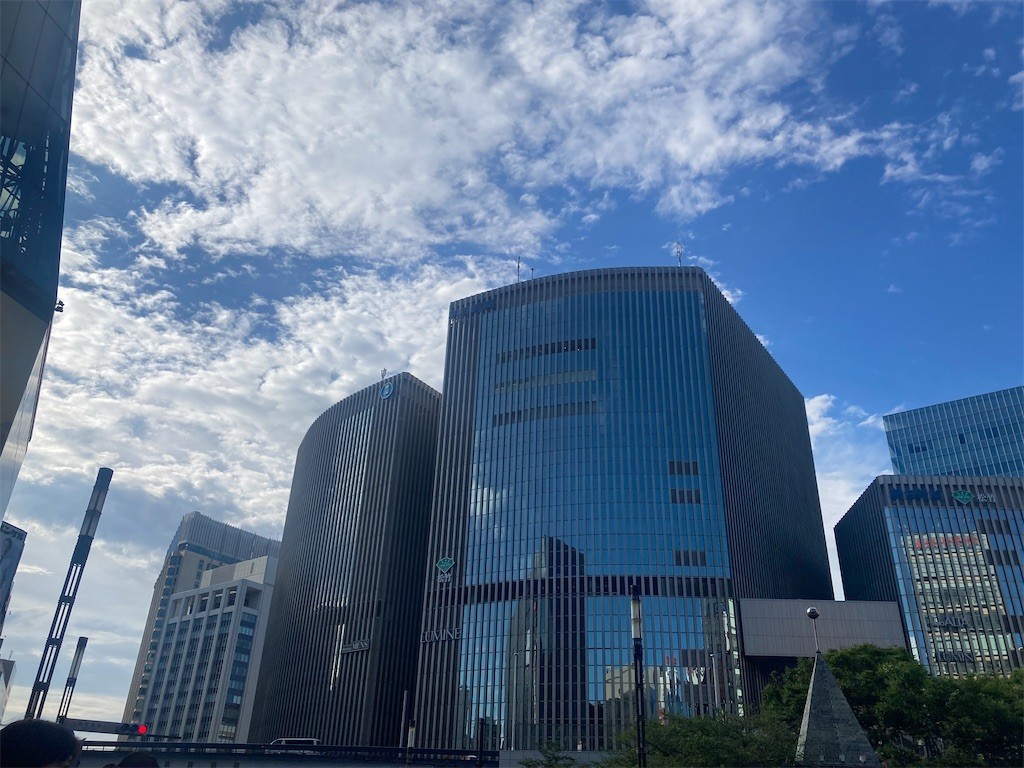 f:id:Magnoliarida:20220626233236j:image f:id:Magnoliarida:20220626233236j:image