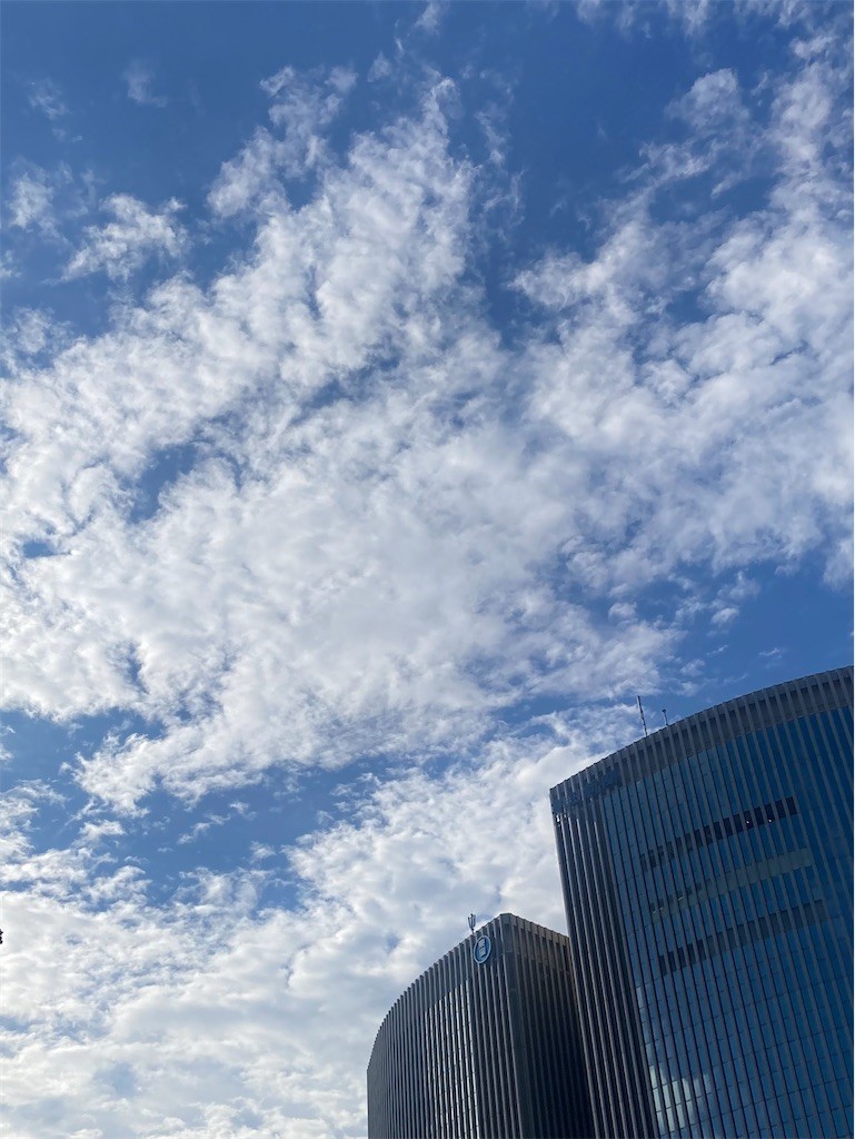 f:id:Magnoliarida:20220626233245j:image f:id:Magnoliarida:20220626233245j:image