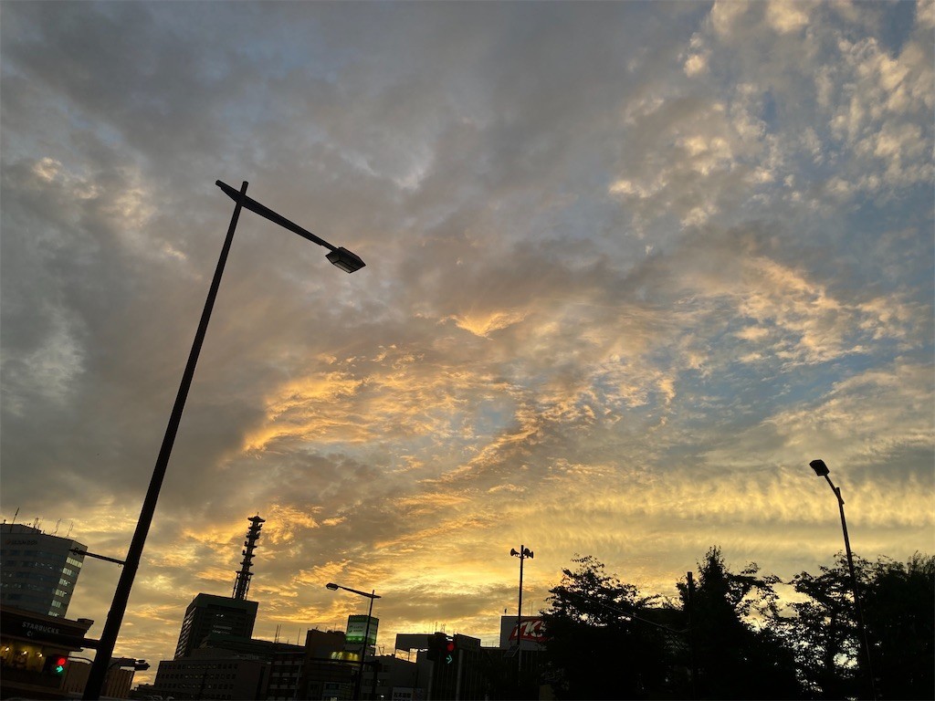 いつか二人で観た夕焼けを夢中で切り取るあなたごと ほらほらコーヒーが冷めちゃってるよ 2