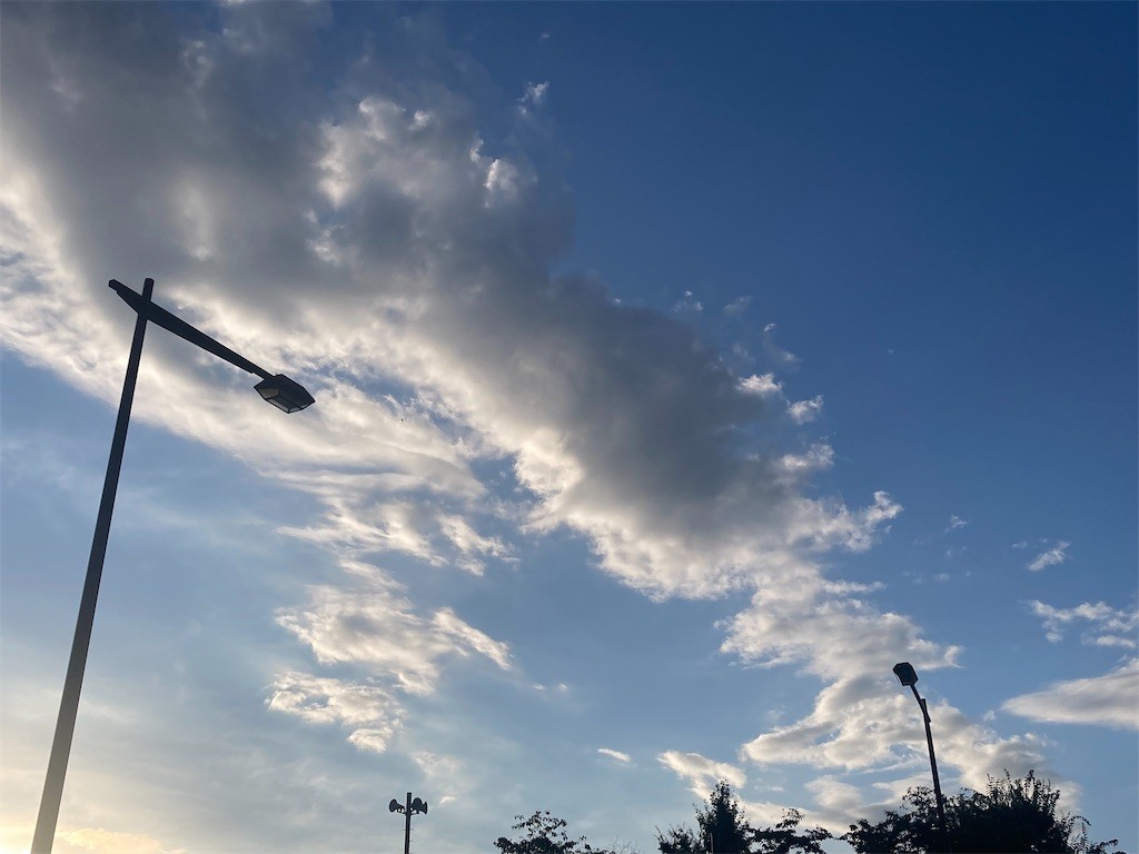 f:id:Magnoliarida:20220708225109j:image