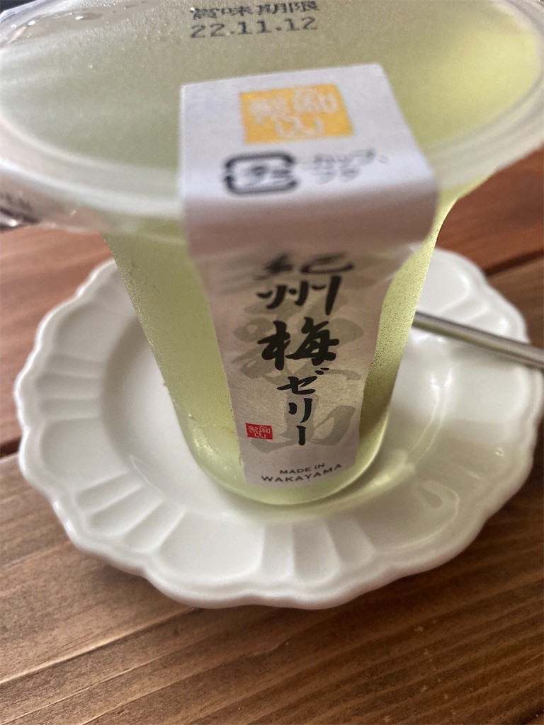 f:id:Magnoliarida:20220711083410j:image