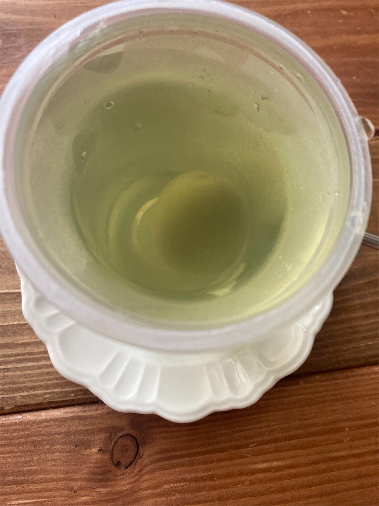 f:id:Magnoliarida:20220711083413j:image