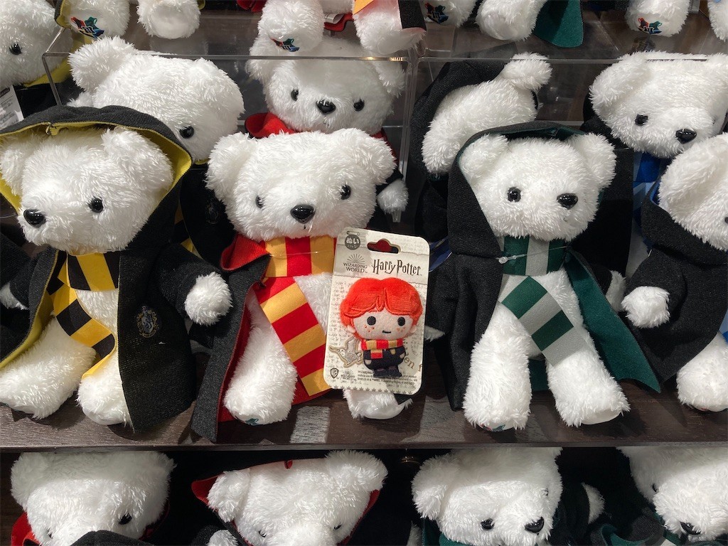 f:id:Magnoliarida:20220726224741j:image f:id:Magnoliarida:20220726224741j:image