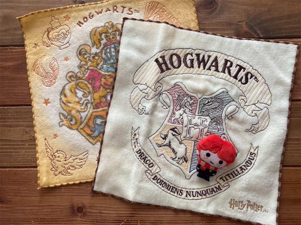 f:id:Magnoliarida:20220727083235j:image