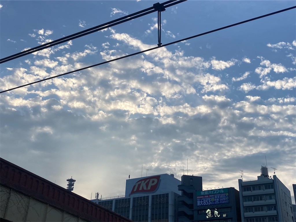 f:id:Magnoliarida:20220815185540j:image f:id:Magnoliarida:20220815185540j:image