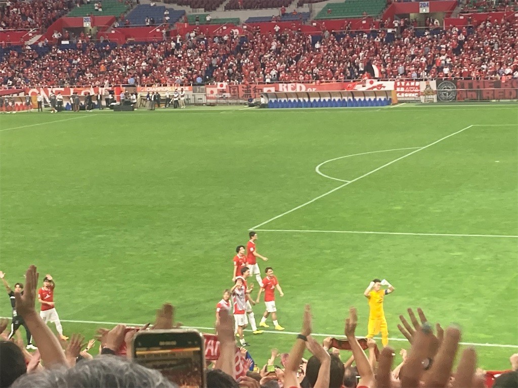 f:id:Magnoliarida:20220826144938j:image f:id:Magnoliarida:20220826144938j:image