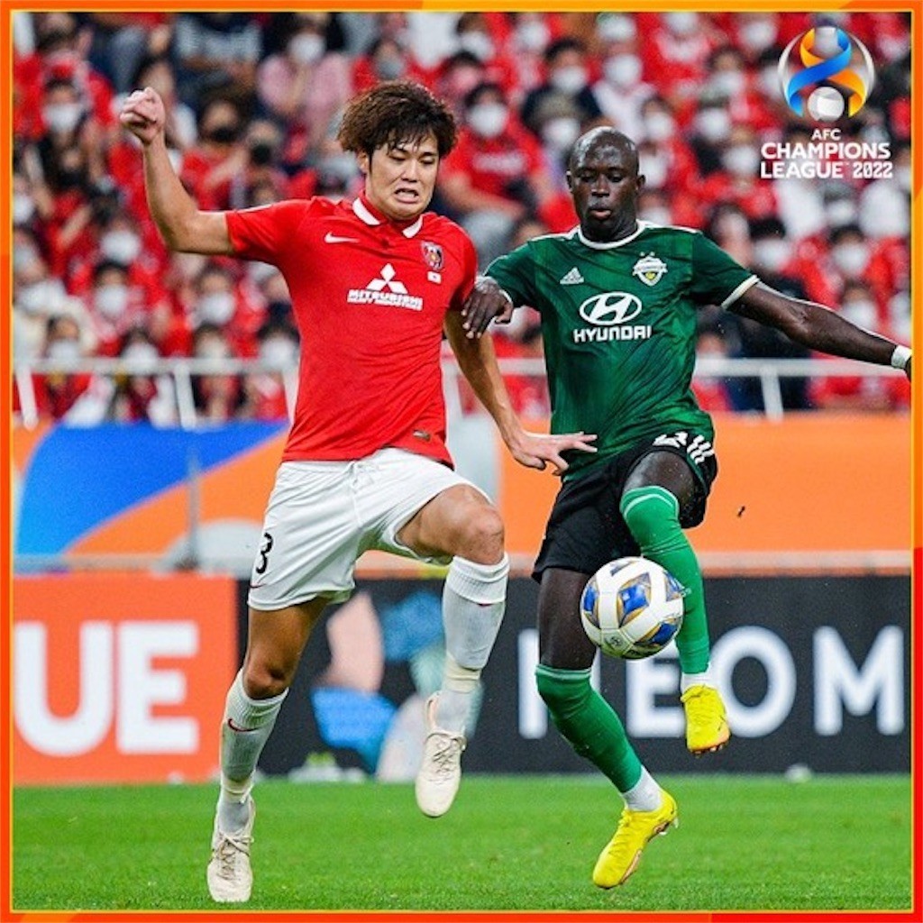 f:id:Magnoliarida:20220826153855j:image f:id:Magnoliarida:20220826153855j:image