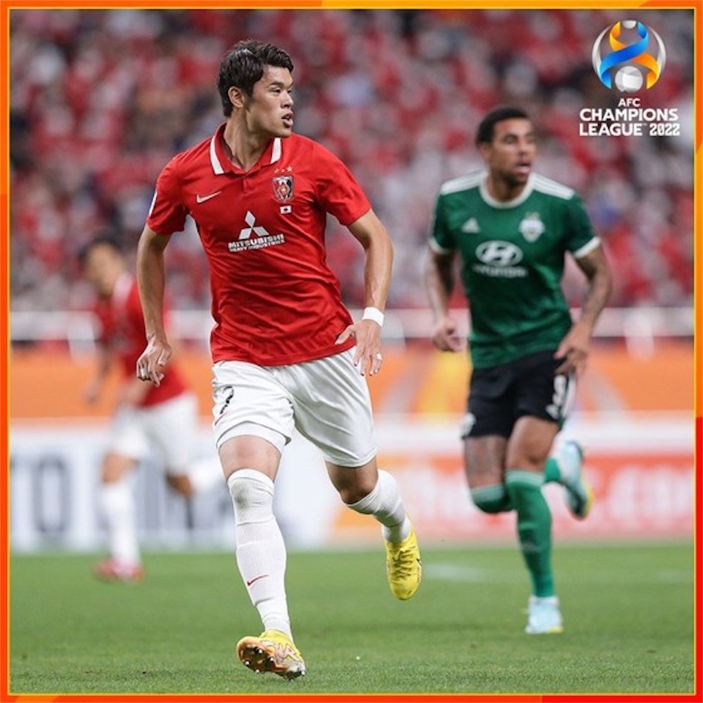 f:id:Magnoliarida:20220826153859j:image f:id:Magnoliarida:20220826153859j:image