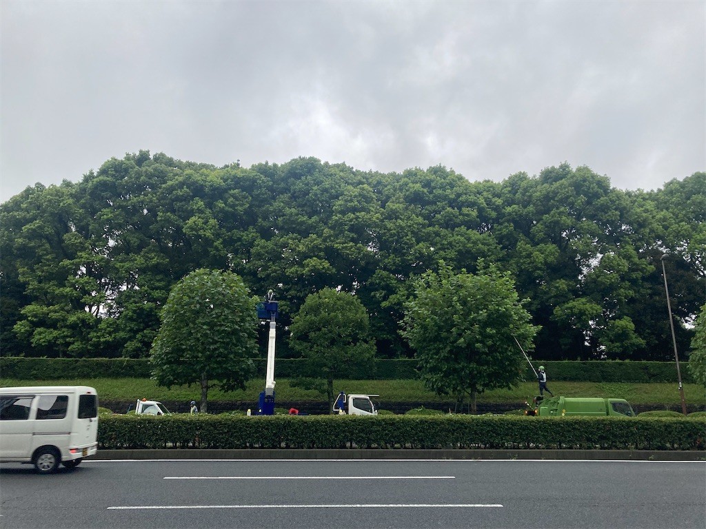 f:id:Magnoliarida:20220902181203j:image