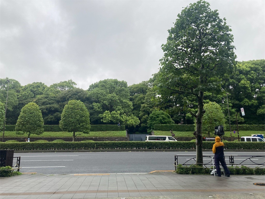 f:id:Magnoliarida:20220902181221j:image