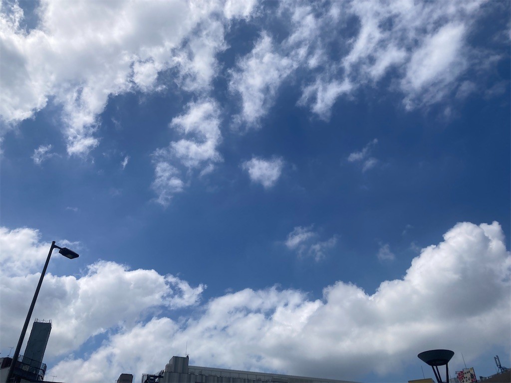 f:id:Magnoliarida:20220904213402j:image f:id:Magnoliarida:20220904213402j:image