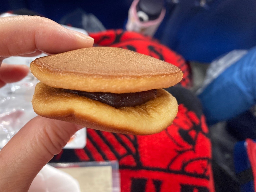 f:id:Magnoliarida:20220911111642j:image f:id:Magnoliarida:20220911111642j:image