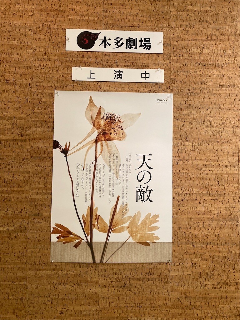 f:id:Magnoliarida:20220917011433j:image f:id:Magnoliarida:20220917011433j:image