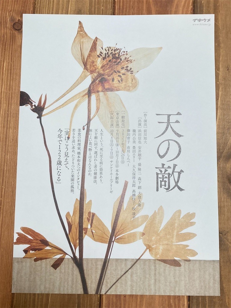 f:id:Magnoliarida:20220917020439j:image f:id:Magnoliarida:20220917020439j:image
