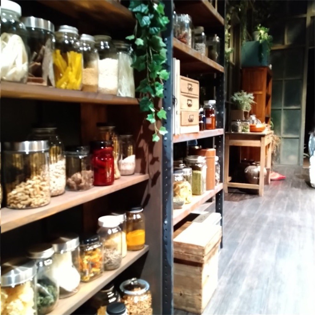 f:id:Magnoliarida:20220917214503j:image f:id:Magnoliarida:20220917214503j:image