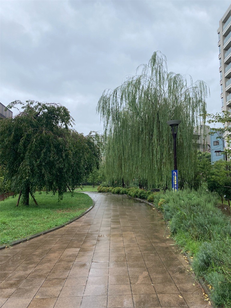 f:id:Magnoliarida:20220920111107j:image