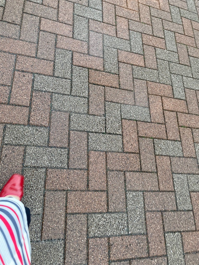 f:id:Magnoliarida:20220920114744j:image