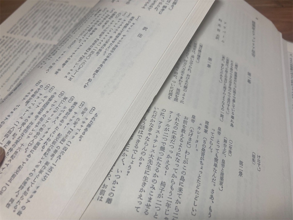 f:id:Magnoliarida:20221004205216j:image f:id:Magnoliarida:20221004205216j:image