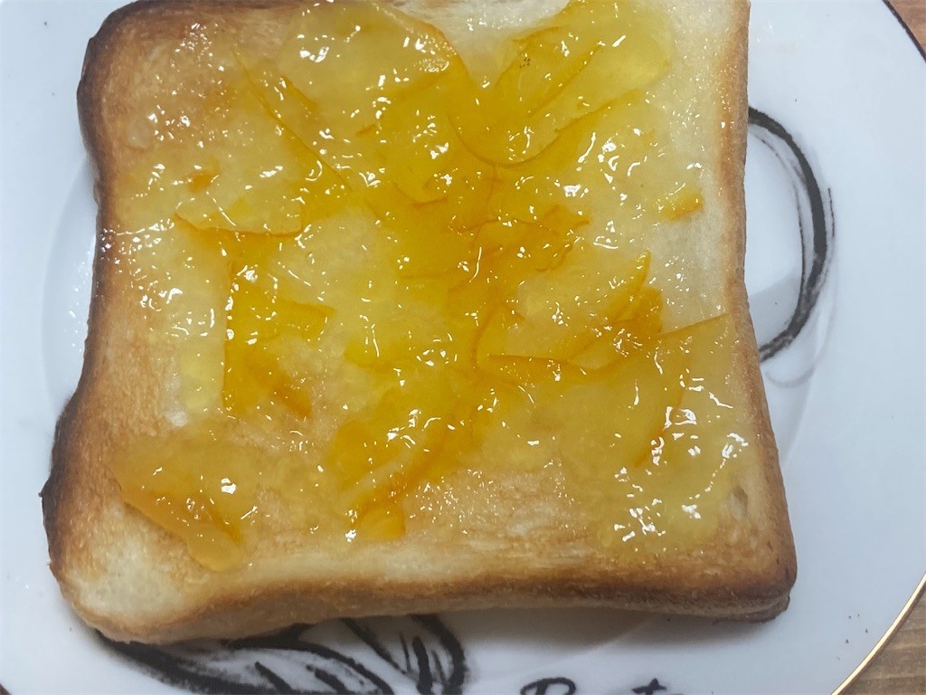 f:id:Magnoliarida:20221006071119j:image