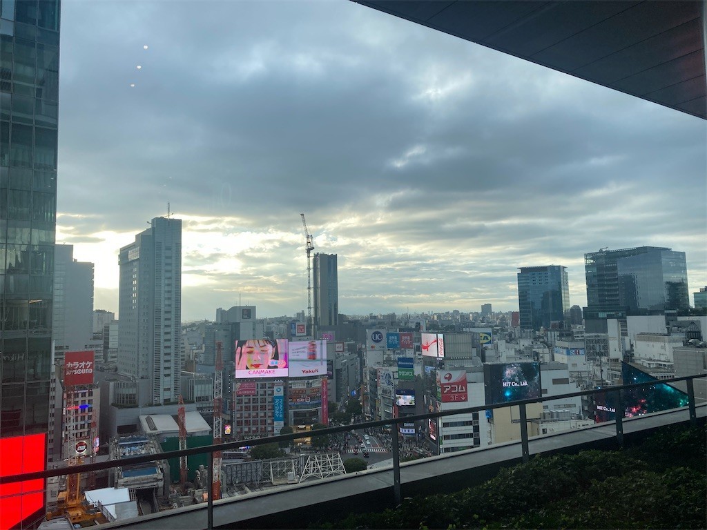 f:id:Magnoliarida:20221016061417j:image