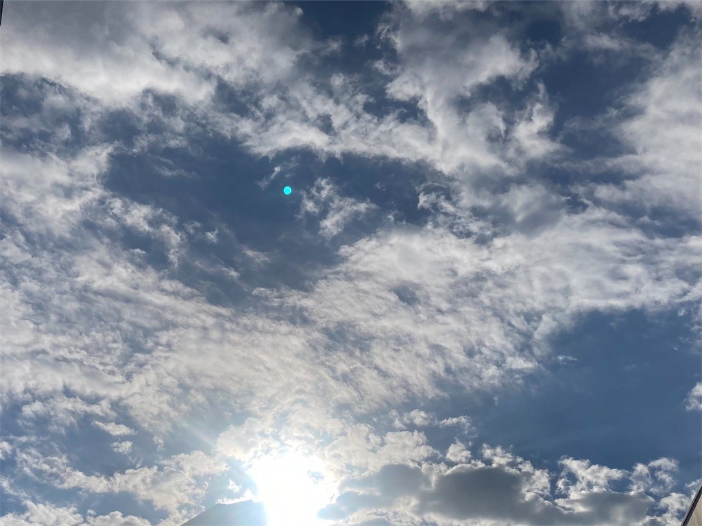 f:id:Magnoliarida:20221019083332j:image