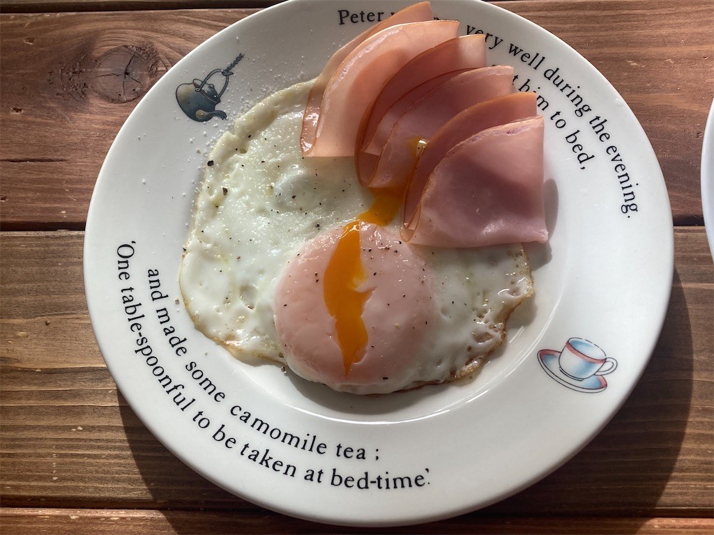 f:id:Magnoliarida:20221029095104j:image