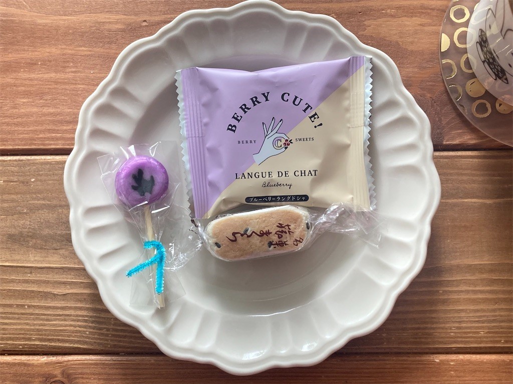 f:id:Magnoliarida:20221029095523j:image