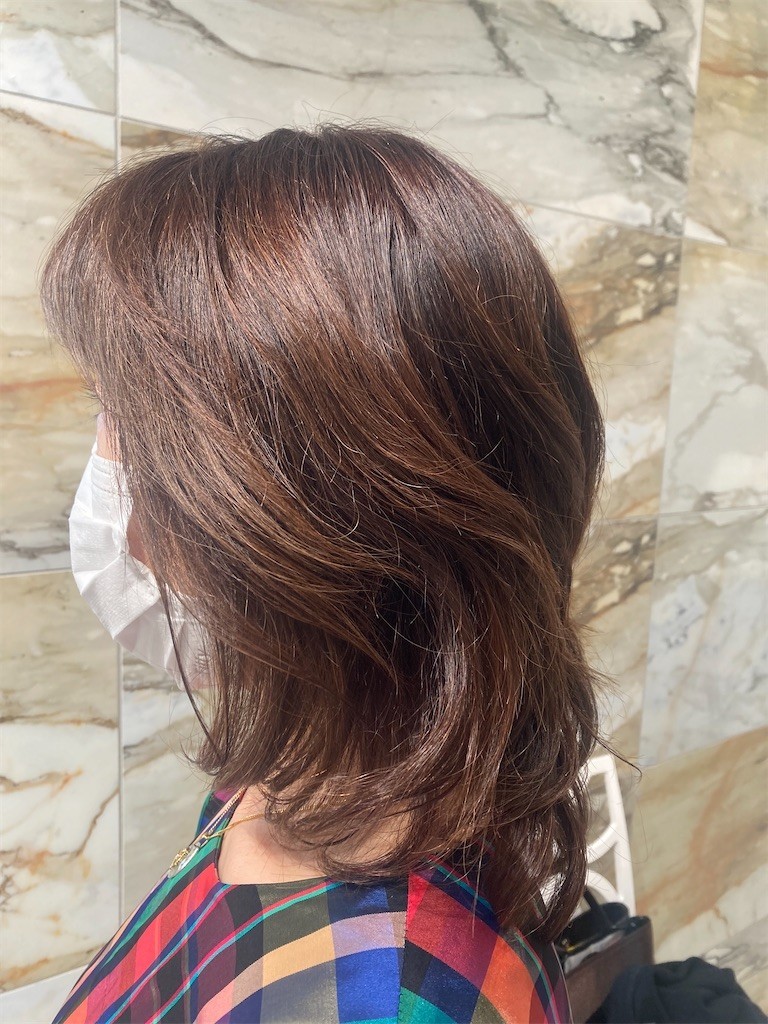 f:id:Magnoliarida:20221029230408j:image f:id:Magnoliarida:20221029230408j:image