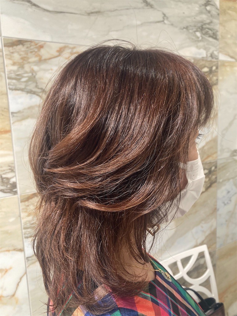 f:id:Magnoliarida:20221029230424j:image f:id:Magnoliarida:20221029230424j:image