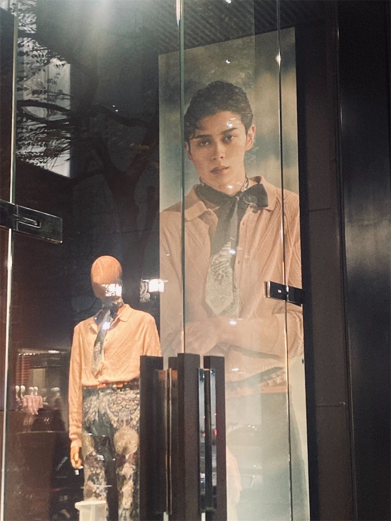 f:id:Magnoliarida:20221029232538j:image f:id:Magnoliarida:20221029232538j:image