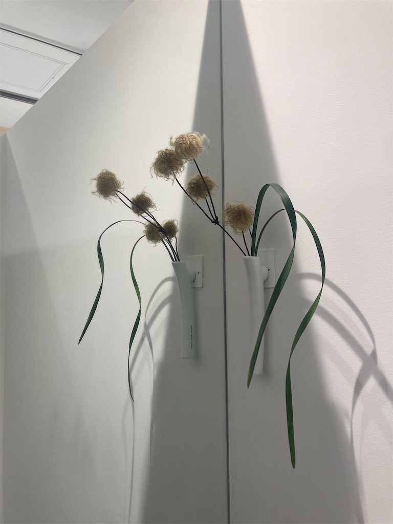 f:id:Magnoliarida:20221029232812j:image f:id:Magnoliarida:20221029232812j:image