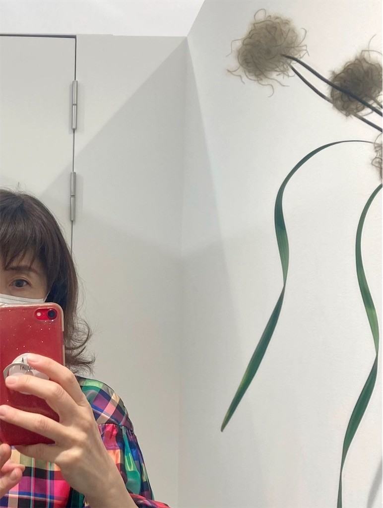 f:id:Magnoliarida:20221029232816j:image f:id:Magnoliarida:20221029232816j:image